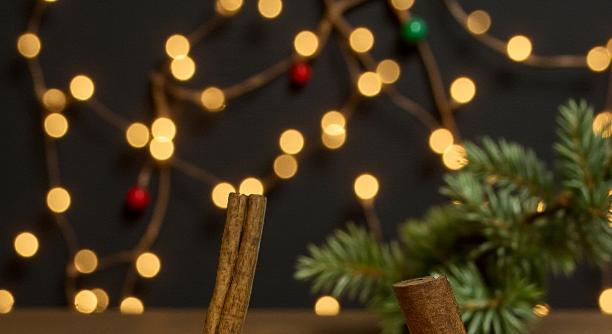 Black Friday Mega Sale